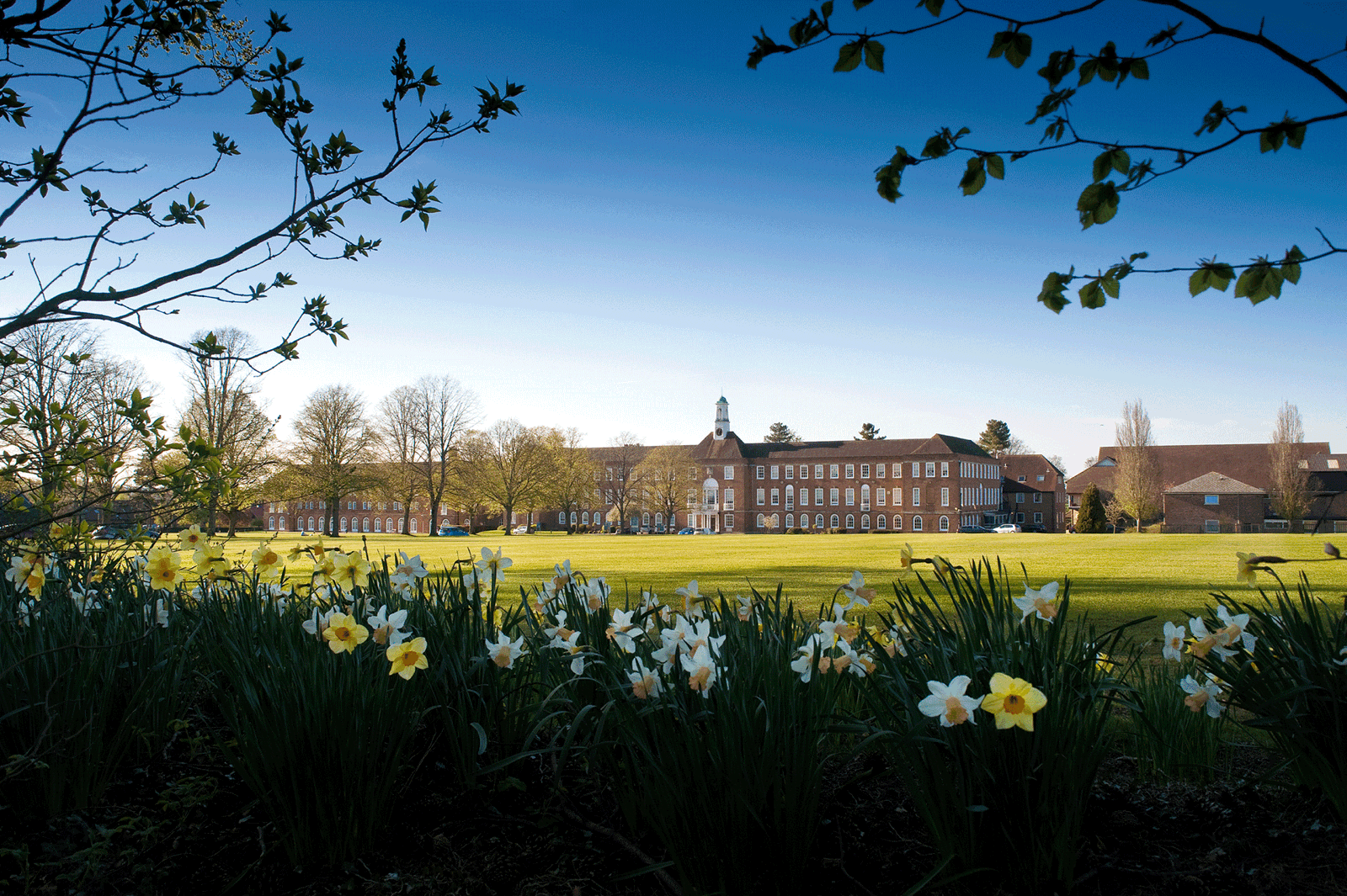 St Swithun's School
